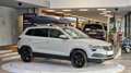 Skoda Karoq 1.6 TDI DSG *Dachbox*Navi*18Zoll* Grau - thumbnail 14