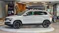 Skoda Karoq 1.6 TDI DSG *Dachbox*Navi*18Zoll* Grau - thumbnail 5