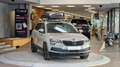 Skoda Karoq 1.6 TDI DSG *Dachbox*Navi*18Zoll* Grau - thumbnail 3