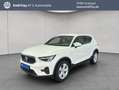 Volvo XC40 XC40 B3 B DKG Core AHK Weiß - thumbnail 1