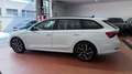 Skoda Octavia 1.4 TSI PLUG-IN HYBRYD EXECUTIVE DSG PREZZO REALE Weiß - thumbnail 8