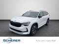 Skoda Kodiaq KODIAQ       SPORTTS110/1.5A7F Blanc - thumbnail 1