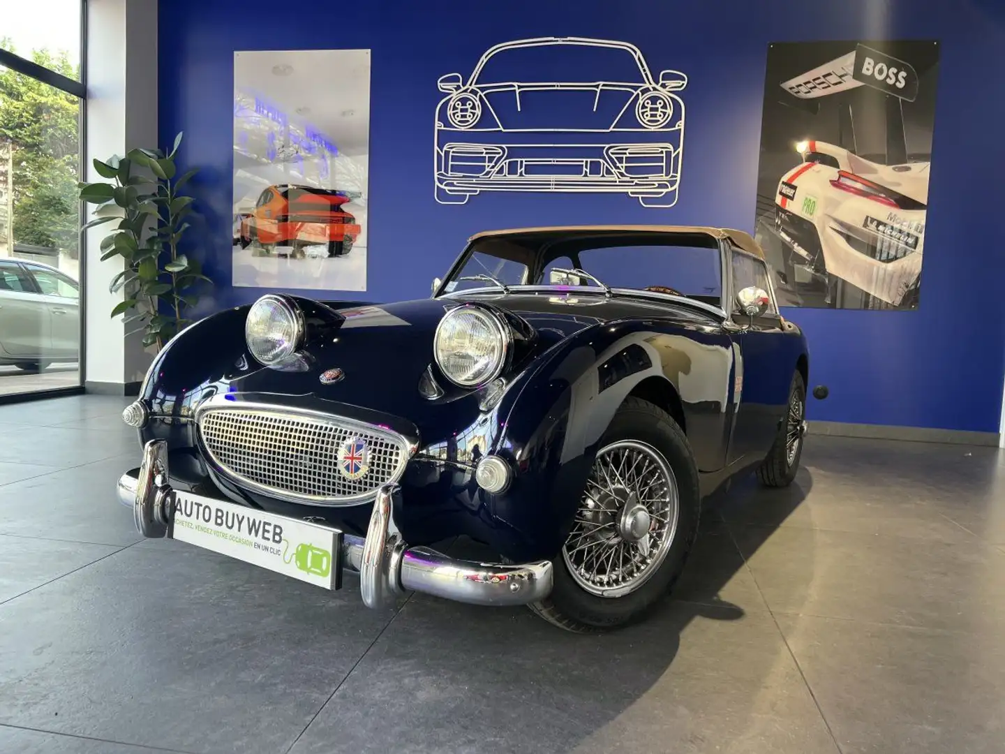 Austin-Healey Sprite Frogeye Mk1 Azul - 1