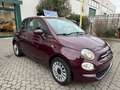 Fiat 500C 500C 1.0 hybrid Dolcevita 70cv Lilla - thumbnail 2