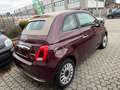 Fiat 500C 500C 1.0 hybrid Dolcevita 70cv Lilla - thumbnail 6