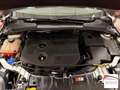 Ford Focus 1.6 tdci Titanium 95cv 5p NEOPATENTATI Weiß - thumbnail 19