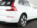 Volvo XC60 T6 Plus Bright Plug-In Hybrid AWD EU6e el.AHK Pano Weiß - thumbnail 7
