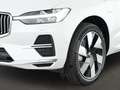 Volvo XC60 T6 Plus Bright Plug-In Hybrid AWD EU6e el.AHK Pano Weiß - thumbnail 6