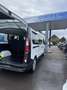Renault Trafic L2H1 3,0t (8/9 Sitze) Authentic Weiß - thumbnail 19