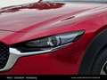 Mazda CX-30 CX 30 SKYACTIVE Rouge - thumbnail 10