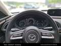 Mazda CX-30 CX 30 SKYACTIVE Rouge - thumbnail 19