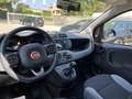 Fiat Panda 1.0 FireFly S&S Hybrid City Life Grigio - thumbnail 8
