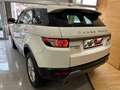 Land Rover Range Rover Evoque 2.2L eD4 Pure Tech 4x2 Blanc - thumbnail 7