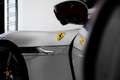 Ferrari 12 Cilindri ~Ferrari Munsterhuis~ Silber - thumbnail 18