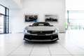 Ferrari 12 Cilindri ~Ferrari Munsterhuis~ Silber - thumbnail 15