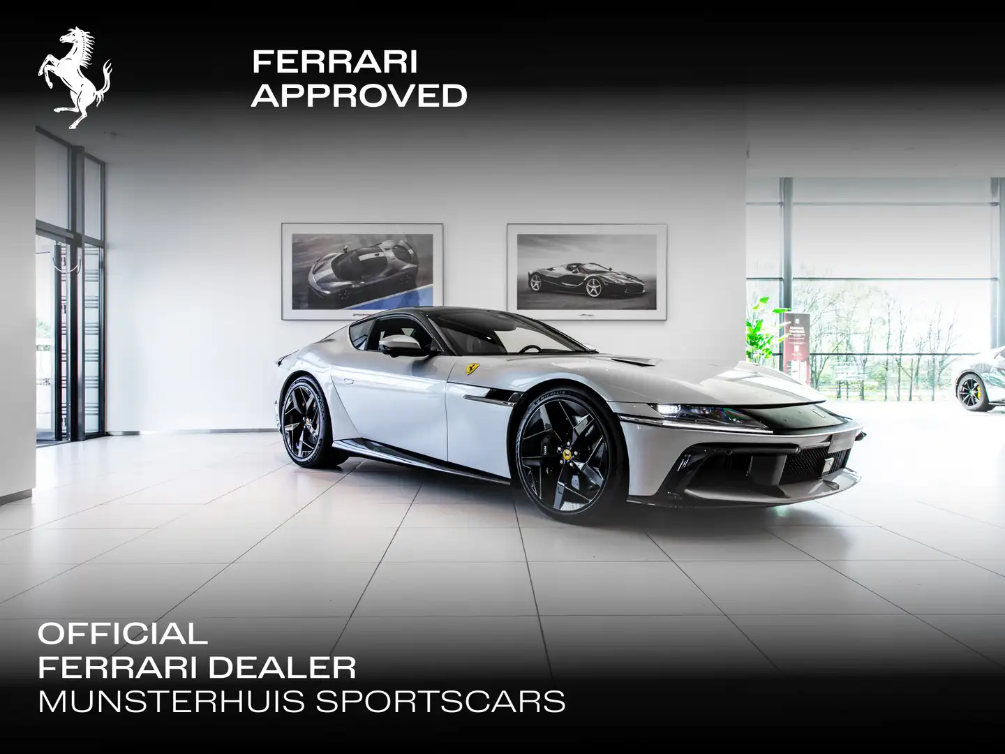Ferrari 12 Cilindri ~Ferrari Munsterhuis~ Silber - 1