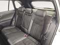 Toyota RAV 4 2.5 Plug-in hybrid 4WD Advance Blanc - thumbnail 11