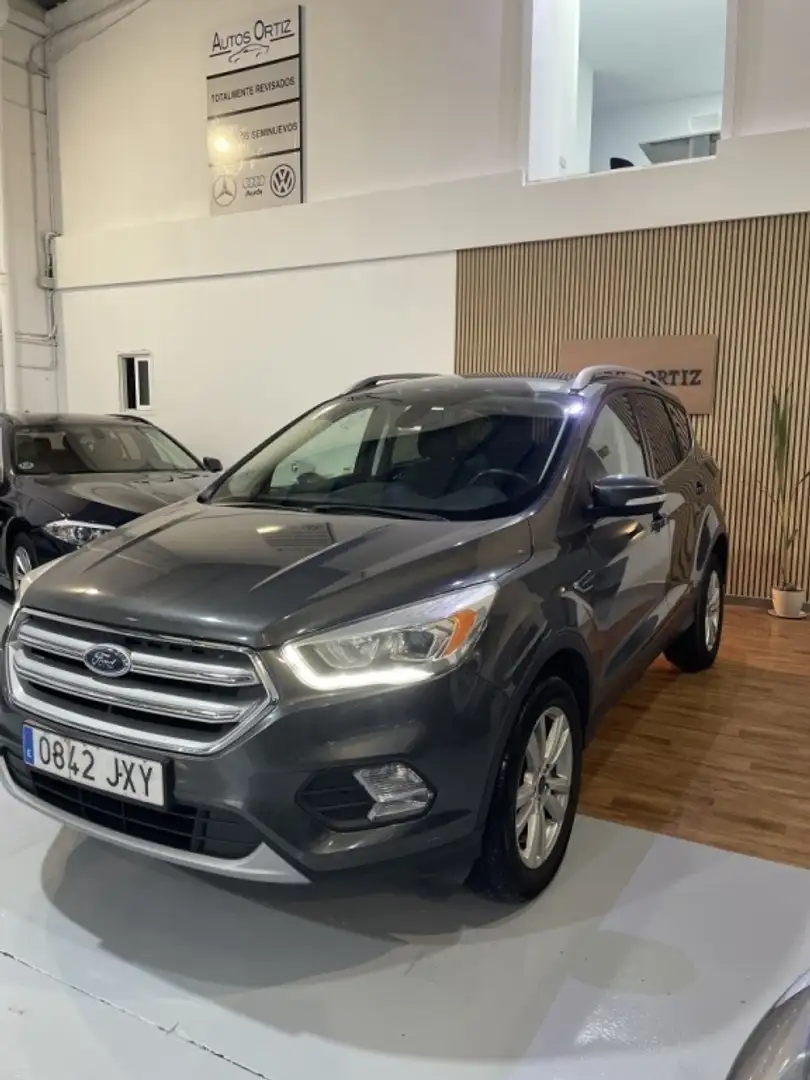 Ford Kuga 2.0TDCi Auto S&S Business 4x2 150 Gris - 2