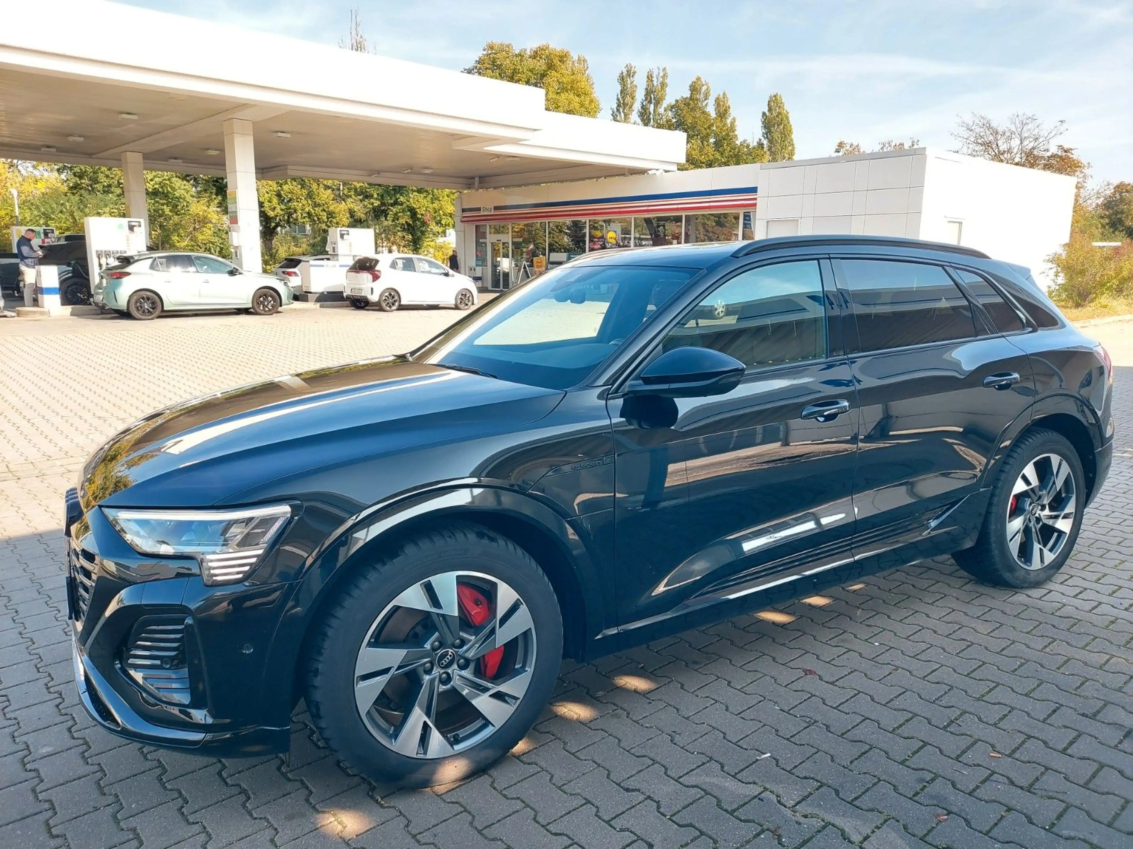 Audi Q8 e-tron 50 quattro S line Radar Pano Sound AH — photo 13