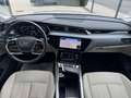 Audi e-tron 50 quattro/LED/AHK/LUFT/LEDER/TEMPOMAT Beige - thumbnail 9
