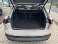 Audi e-tron 50 quattro/LED/AHK/LUFT/LEDER/TEMPOMAT Beige - thumbnail 20