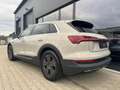Audi e-tron 50 quattro/LED/AHK/LUFT/LEDER/TEMPOMAT Beige - thumbnail 5