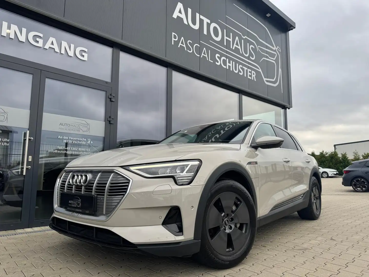 Audi e-tron 50 quattro/LED/AHK/LUFT/LEDER/TEMPOMAT Beige - 1