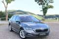 Skoda Octavia Style*DSG*AHK*ACC*Keyless Entry*Memory Grau - thumbnail 1