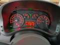 Fiat Panda 1.2 Emotion Dualogic - thumbnail 12