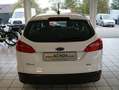 Ford Focus Business Edition Weiß - thumbnail 5