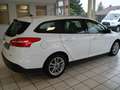 Ford Focus Business Edition Weiß - thumbnail 4