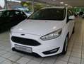 Ford Focus Business Edition Weiß - thumbnail 1