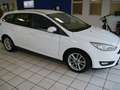 Ford Focus Business Edition Weiß - thumbnail 3