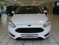Ford Focus Business Edition Weiß - thumbnail 2