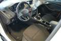 Ford Focus Business Edition Weiß - thumbnail 11