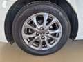 Mazda Mazda6e Mazda2 1.5 Skyactiv-G Evolve Grigio - thumbnail 9