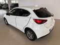 Mazda Mazda6e Mazda2 1.5 Skyactiv-G Evolve Grigio - thumbnail 10