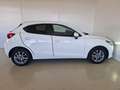 Mazda Mazda6e Mazda2 1.5 Skyactiv-G Evolve Grigio - thumbnail 6