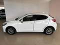 Mazda Mazda6e Mazda2 1.5 Skyactiv-G Evolve Grigio - thumbnail 11