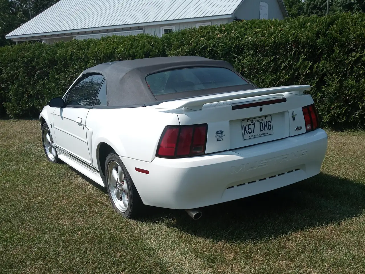 Ford Mustang снимка Ford Mustang