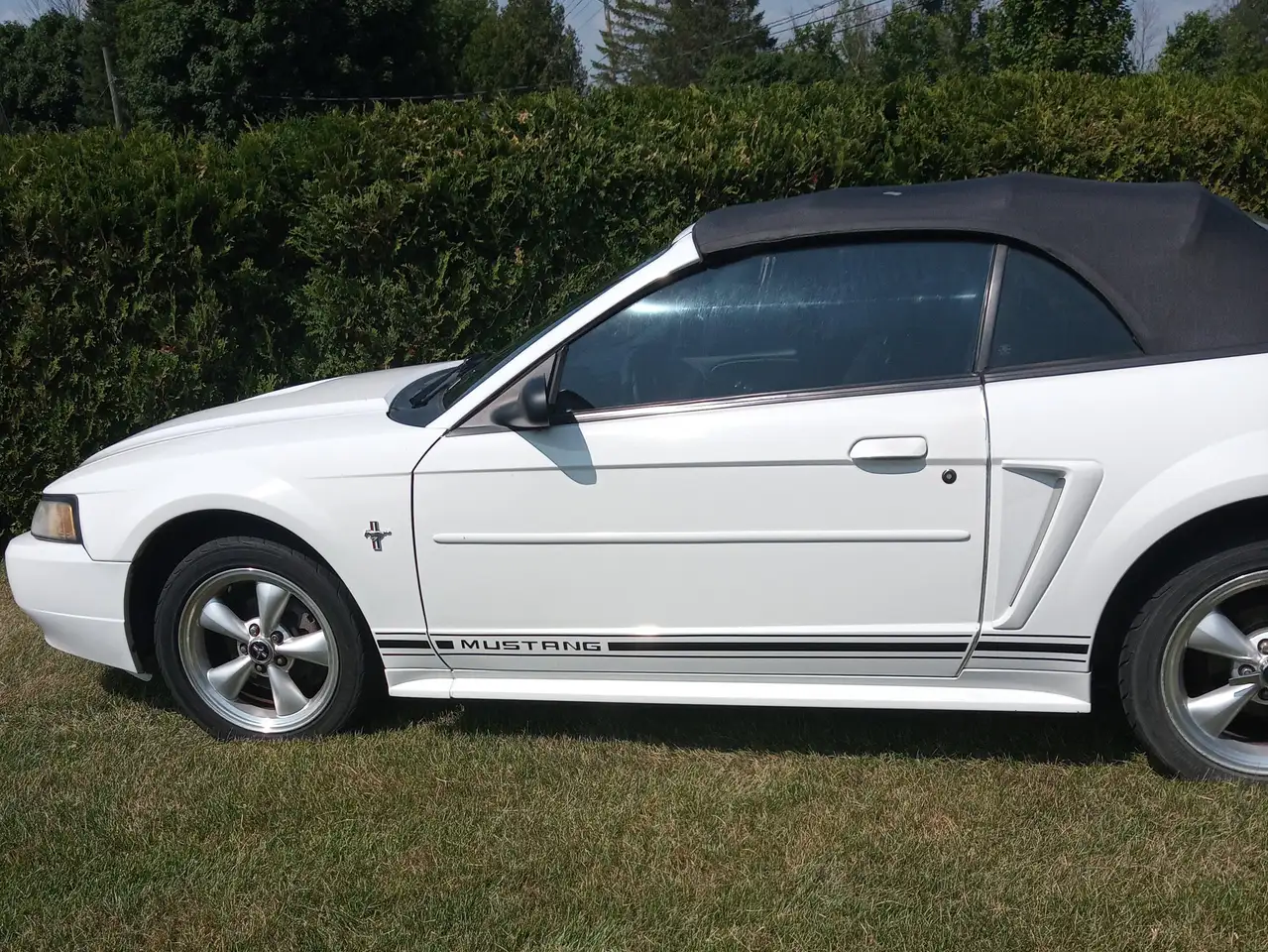 Ford Mustang снимка Ford Mustang