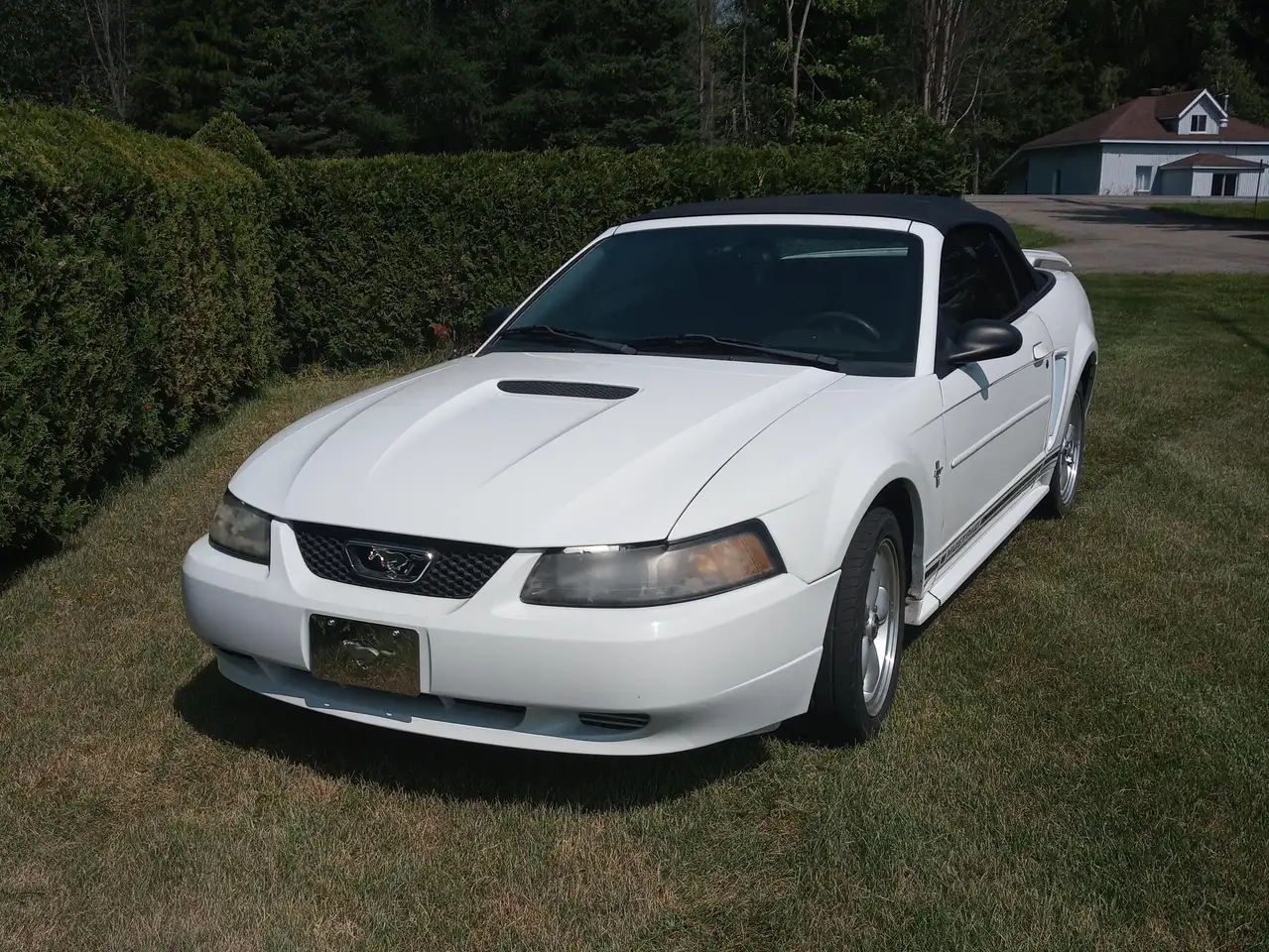 Ford Mustang снимка Ford Mustang