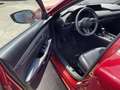Mazda 3 SKYACTIV-G 2.0 M Hybrid DES-P., ACT-P., Bose, Lede Rot - thumbnail 14