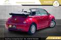 Volkswagen Beetle Cabriolet 1,4 //TOP-ZUSTAND//FACELIFT//SALSA-RE... Rot - thumbnail 6