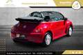 Volkswagen Beetle Cabriolet 1,4 //TOP-ZUSTAND//FACELIFT//SALSA-RE... Rot - thumbnail 2