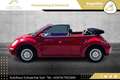 Volkswagen Beetle Cabriolet 1,4 //TOP-ZUSTAND//FACELIFT//SALSA-RE... Rot - thumbnail 13
