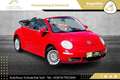 Volkswagen Beetle Cabriolet 1,4 //TOP-ZUSTAND//FACELIFT//SALSA-RE... Rot - thumbnail 4