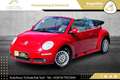 Volkswagen Beetle Cabriolet 1,4 //TOP-ZUSTAND//FACELIFT//SALSA-RE... Rot - thumbnail 5