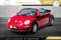 Volkswagen Beetle Cabriolet 1,4 //TOP-ZUSTAND//FACELIFT//SALSA-RE... Rot - thumbnail 3