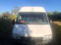 Fiat Ducato 2800 jtd tetto alto ,  anno 2005 Blanco - thumbnail 21